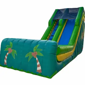 Tobogan Gonflabil Cu Piscină Amazon