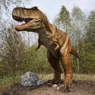 Dinozaur Animatronic Giant T-Rex 20m