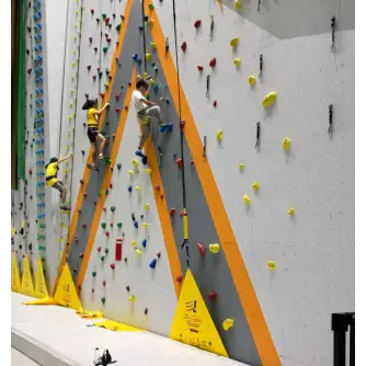 Perete de Cățărare Indoor – Model Competition Wall